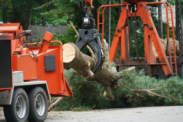 Lawn Watering Services in Bonduel, WI